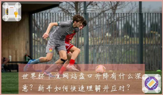 世界杯下注网站盘口升降有什么深意？新手如何快速理解并应对？