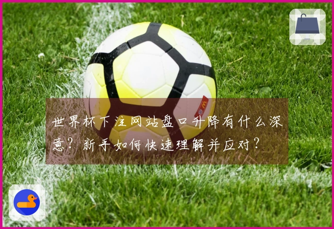 世界杯下注网站盘口升降有什么深意？新手如何快速理解并应对？
