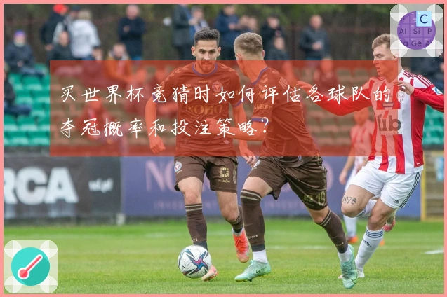 买世界杯竞猜时如何评估各球队的夺冠概率和投注策略？