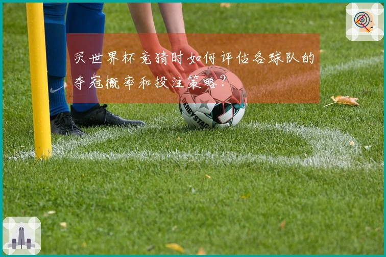 买世界杯竞猜时如何评估各球队的夺冠概率和投注策略？